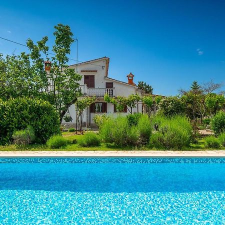 Apartmani Martina Poreč Zewnętrze zdjęcie